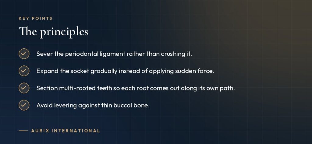 Key points: The principles