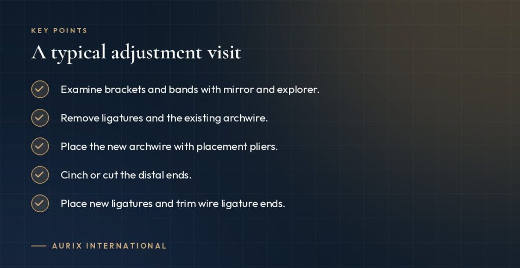 Key points: A typical adjustment visit