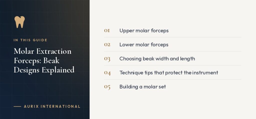 In this guide: Upper molar forceps, Lower molar forceps, Choosing beak width and length, Technique tips that protect the instrument, Building a molar set