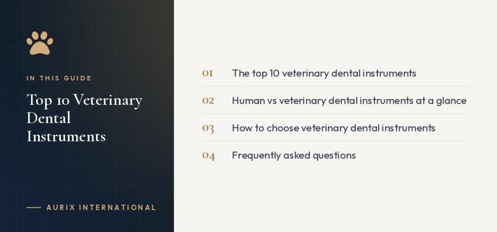 In this guide: The top 10 veterinary dental instruments, Human vs veterinary dental instruments at a glance, How to choose veterinary dental instruments, Frequently asked questions