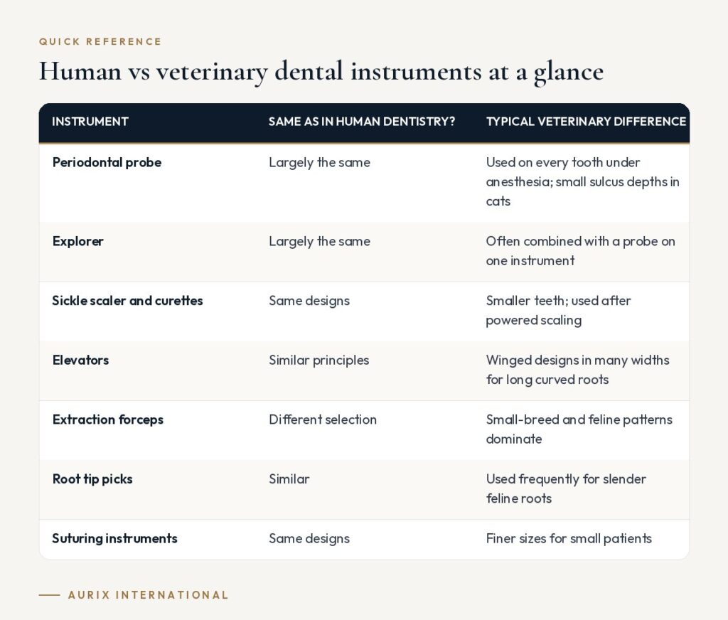 Quick reference table: Human vs veterinary dental instruments at a glance