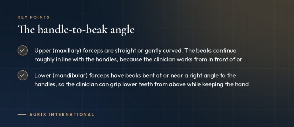 Key points: The handle-to-beak angle